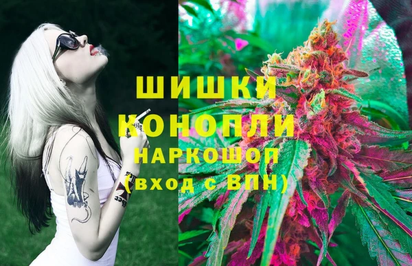 соль ск Арсеньев