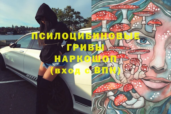 МДПВ Армянск