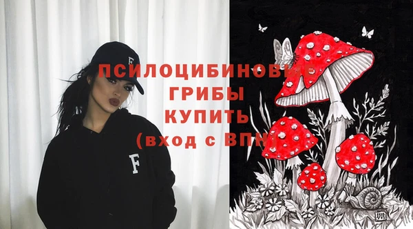 соль ск Арсеньев