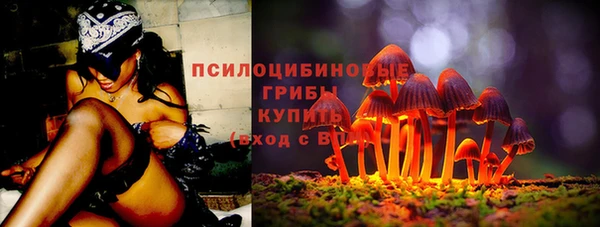 МДПВ Армянск